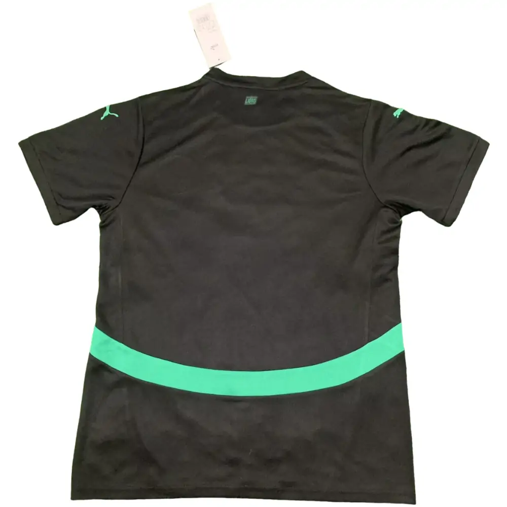 2026-27 Senegal Training Jersey - Fan Edition