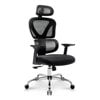 Coolhut Ergonomic Office Chair, High Back Adjustable Computer Desk Chair with Lumbar Support, 300lb, Black