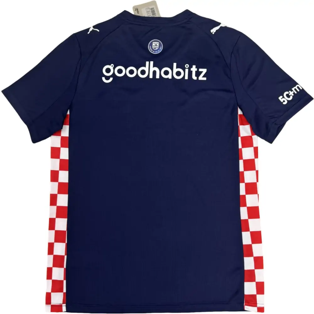 2025-26 PSV Eindhoven Away Jersey - Fans Edition