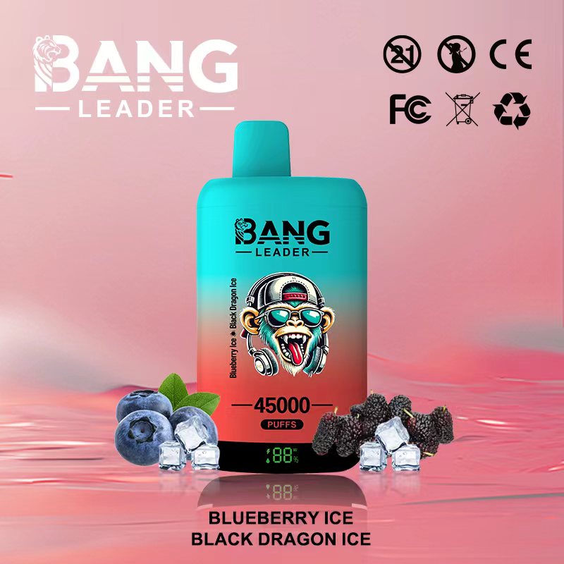 Bang Leader 45k Puffs 2-in-1