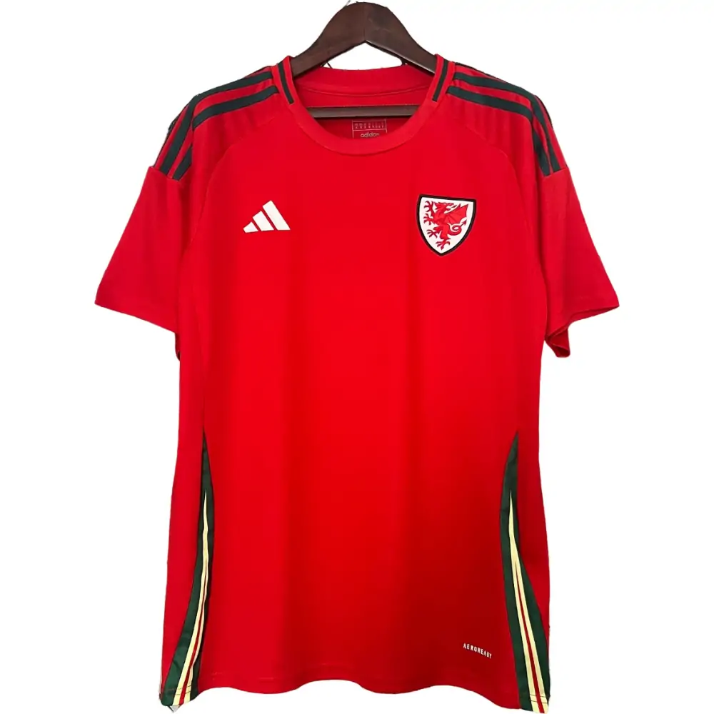 2024/25 Wales home fan version jersey 1:1 Thai quality - Fans Edition