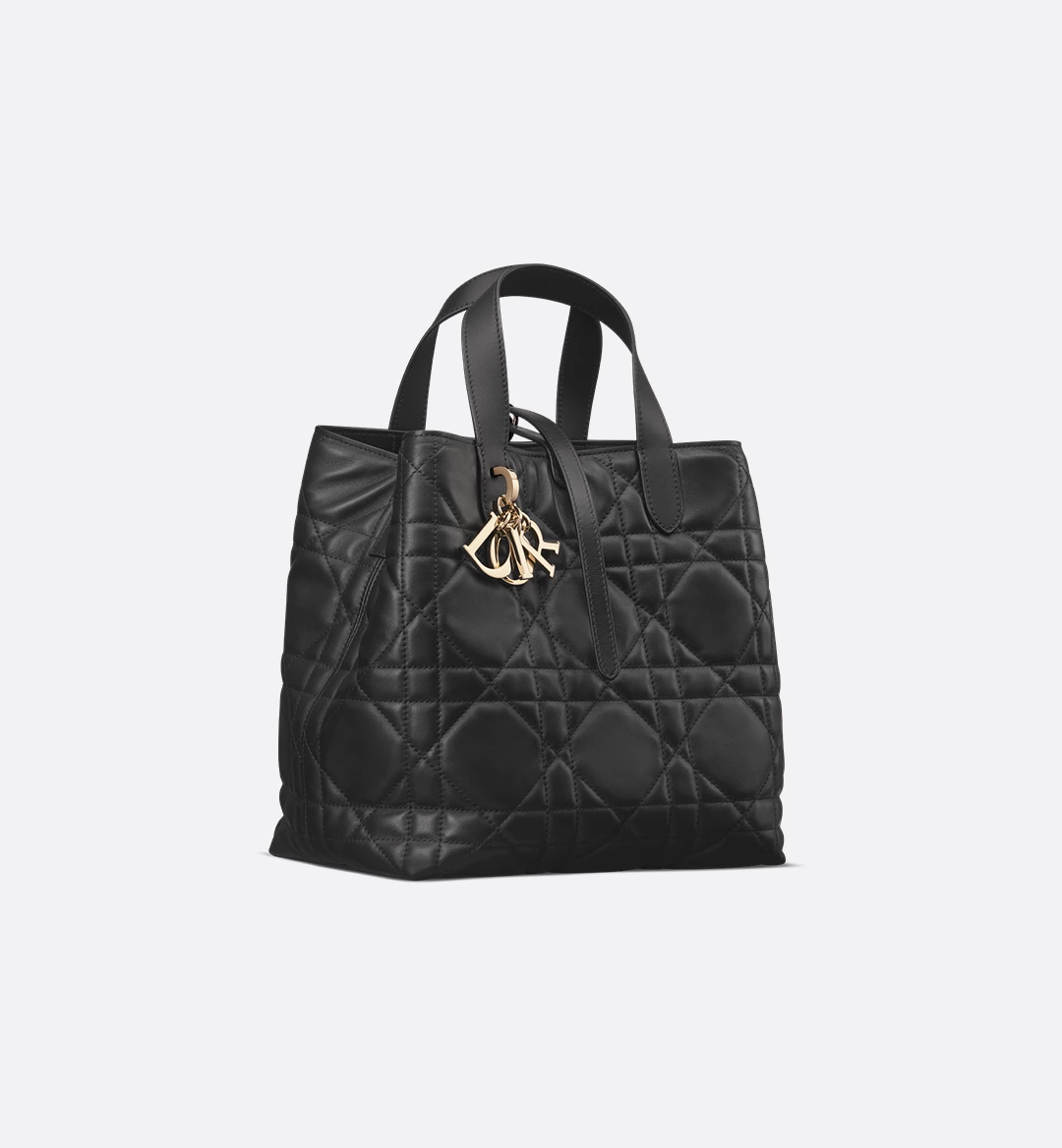 Medium Toujours Vertical Tote Bag
