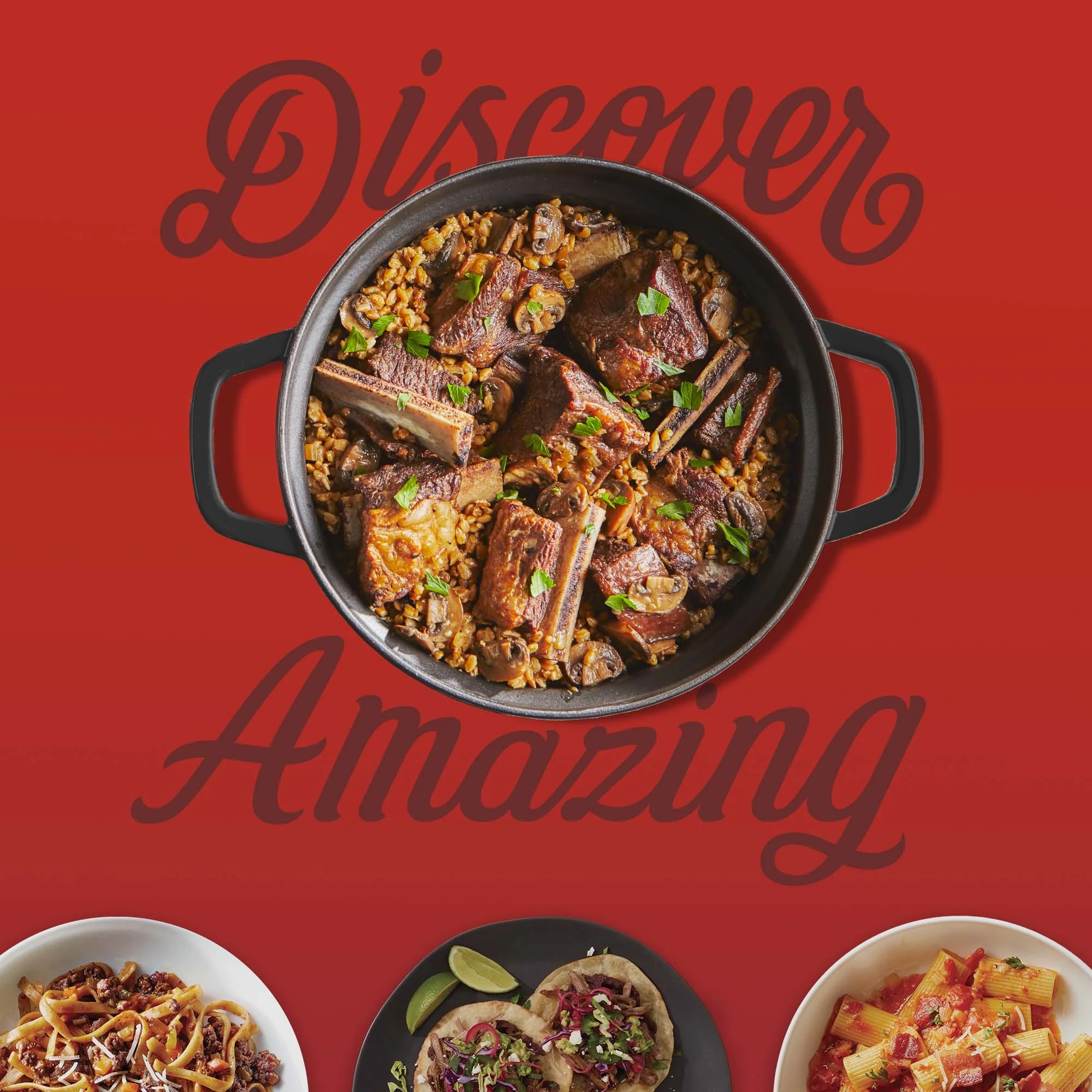 Instant Precision Cast Iron 11.4