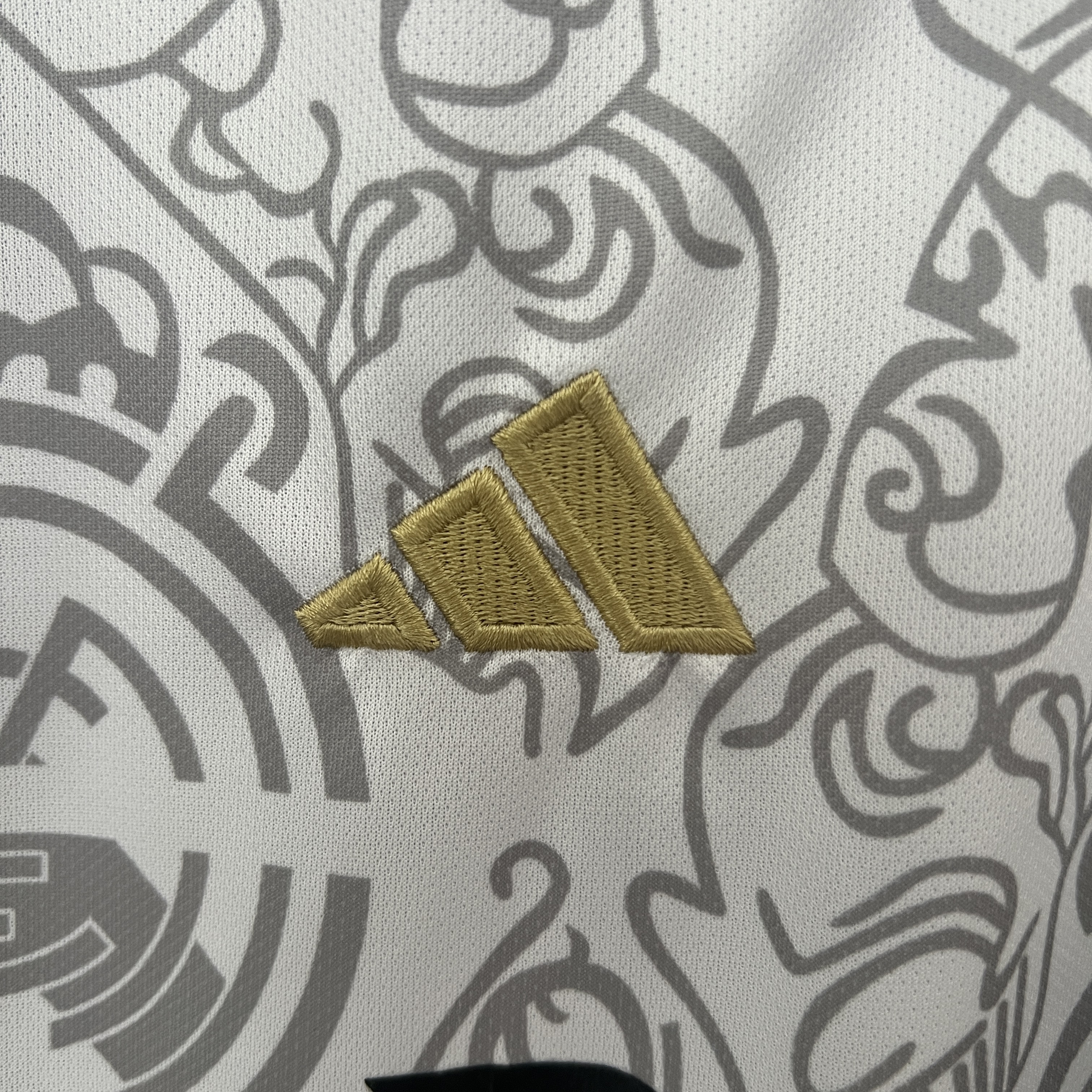 2024/25 Real Madrid Special Edition Jersey - Fans Edition