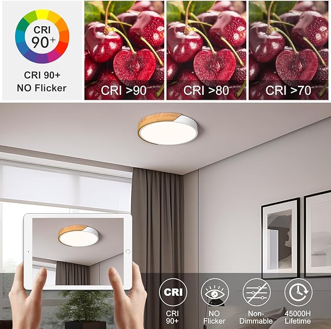 Modern LED Ceiling Light