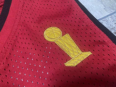 Dwayne Wade Miami Heat Red 3 MN