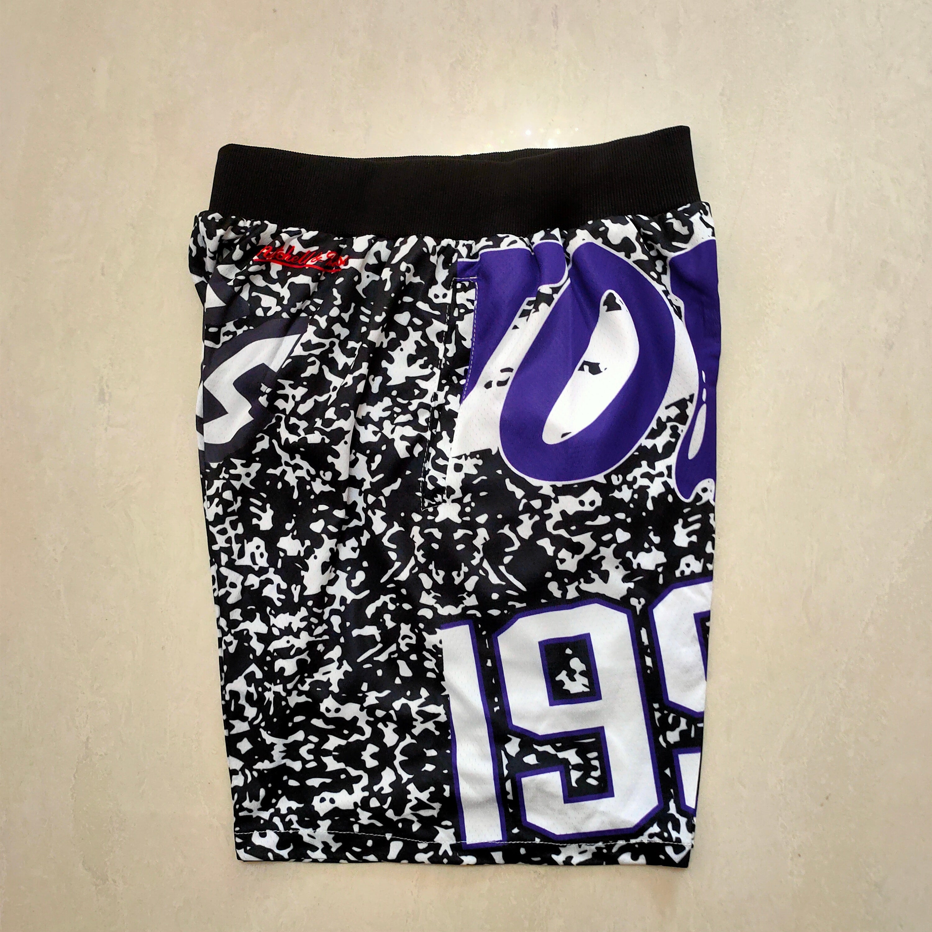 Toronto Raptors mitchellNessMN team logo series basketball sweatpants