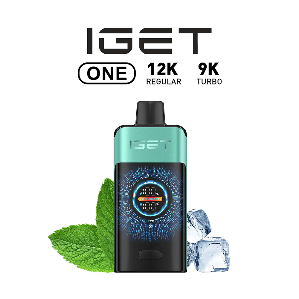 IGET ONE 12000 Puffs - All Flavors