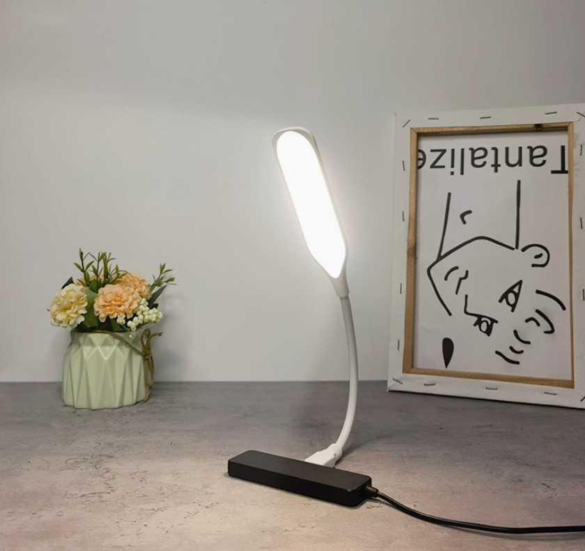 USB-Powered Flexible Neck Reading Light