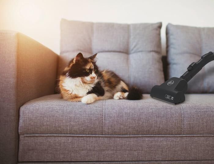 HOOVER - Aspirapolvere a traino HE520PET 011-Nero