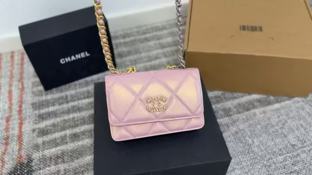Chanel 19 Woc fortune bag