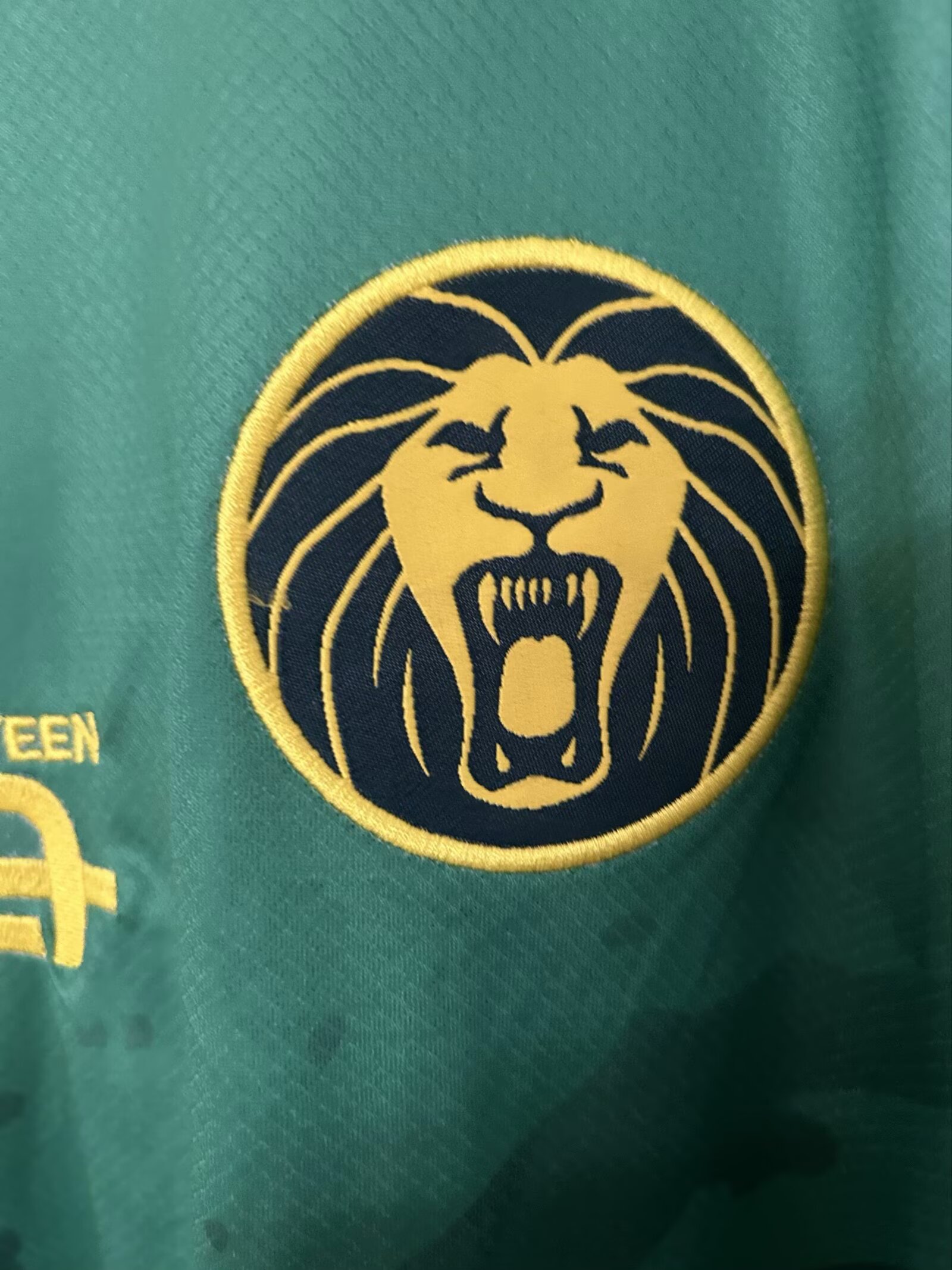 2025-26 Cameroon Green - Jersey - Fan Edition