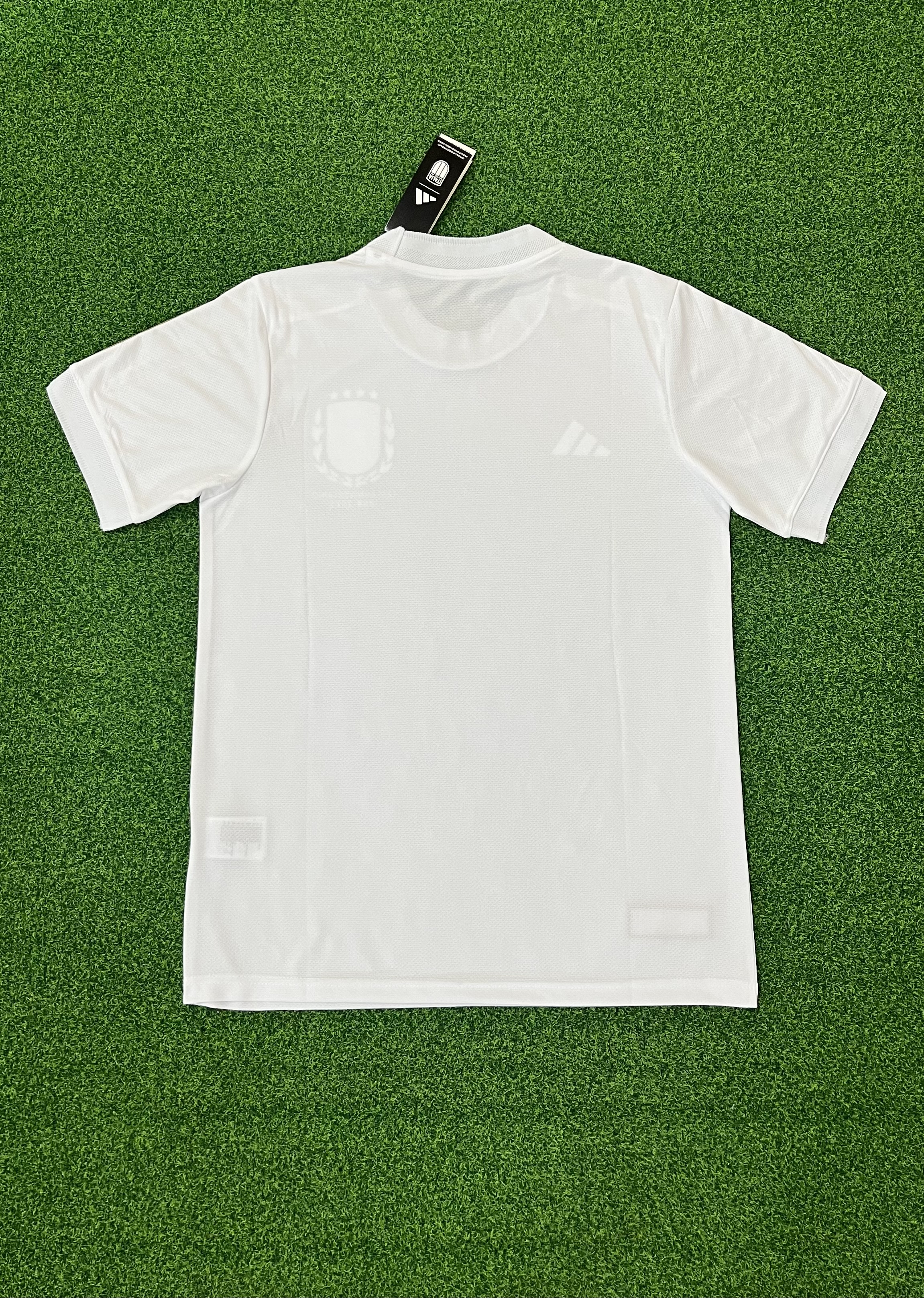 2425 Italy 125th Anniversary Edition  jersey...Player embroidery version