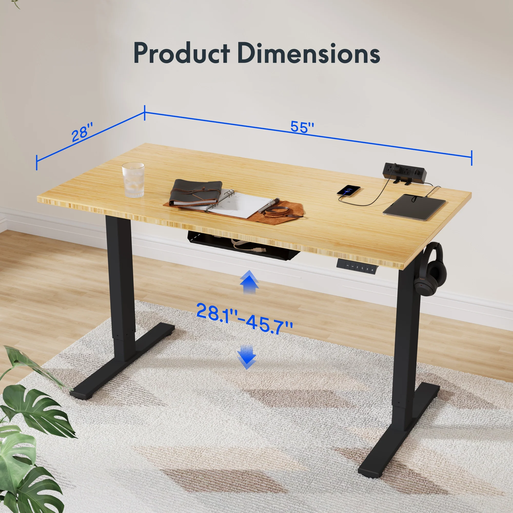 Flexispot 55