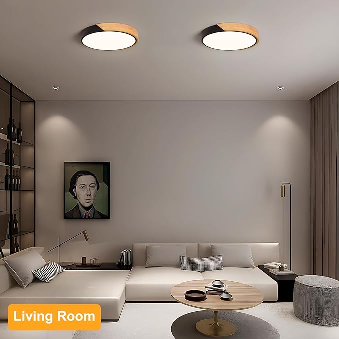 Modern LED Ceiling Light
