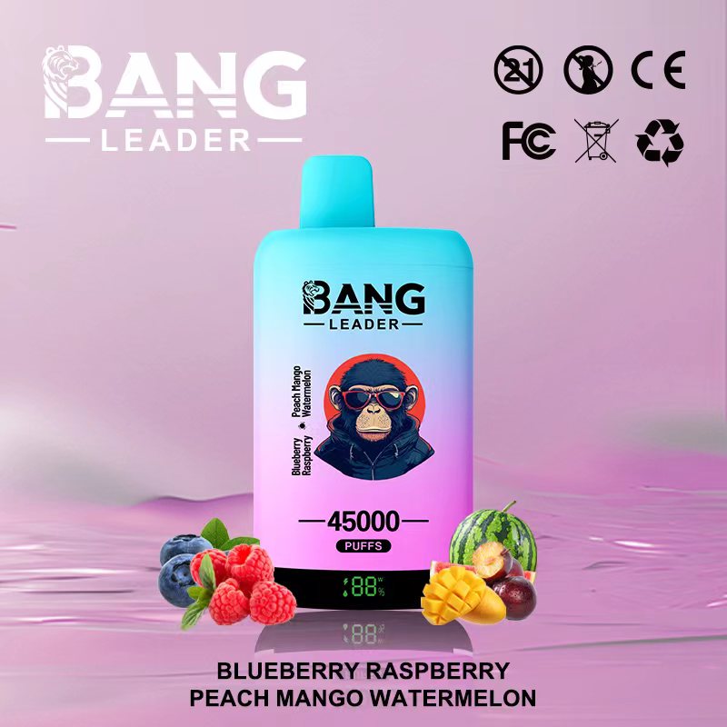 Bang Leader 45k Puffs 2-in-1