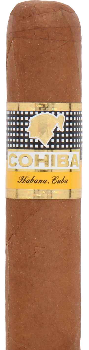 Cohiba Robustos Cuban Cigar - Single