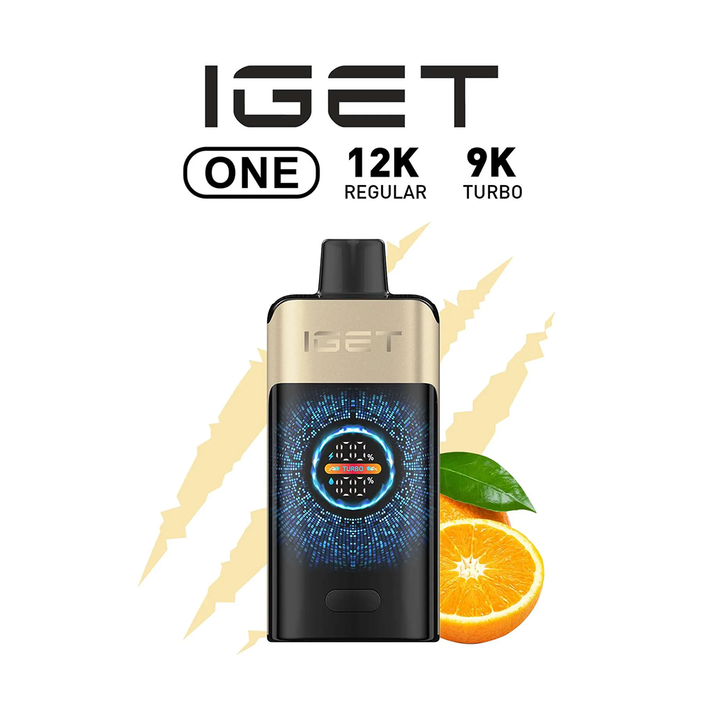 IGET ONE 12000 Puffs - All Flavors