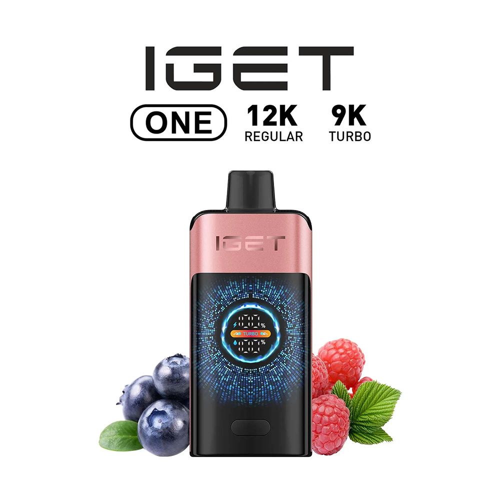 IGET ONE 12000 Puffs - All Flavors