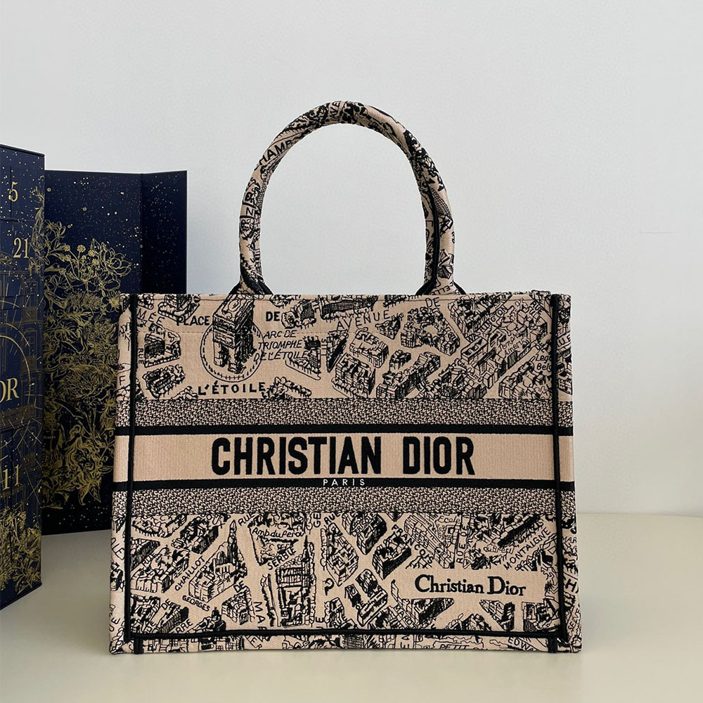 Dior Book Tote Paris Map Bag