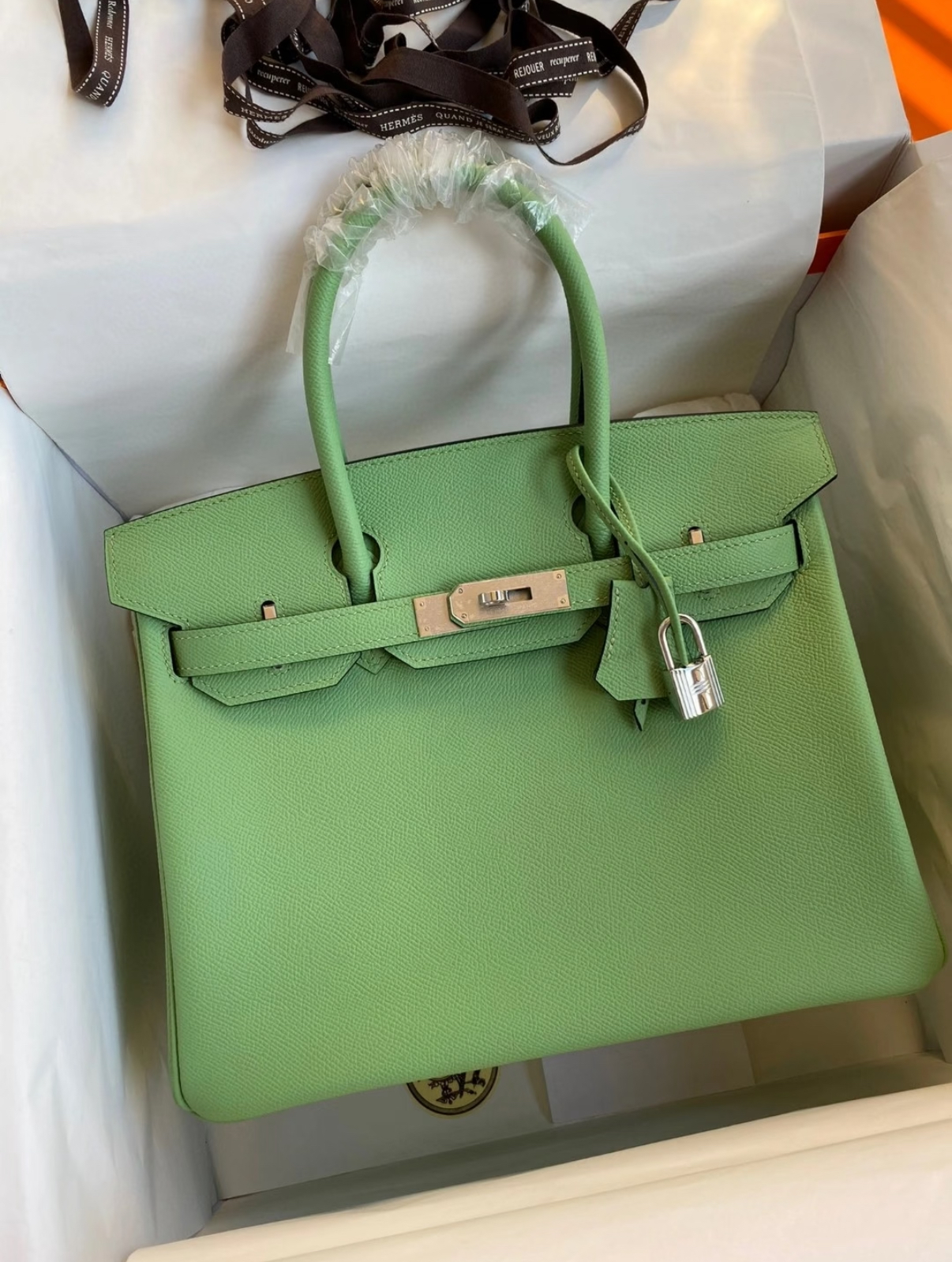 Hermès Birkin 25-30cm Vert Avocat 🥑  EPSON custom