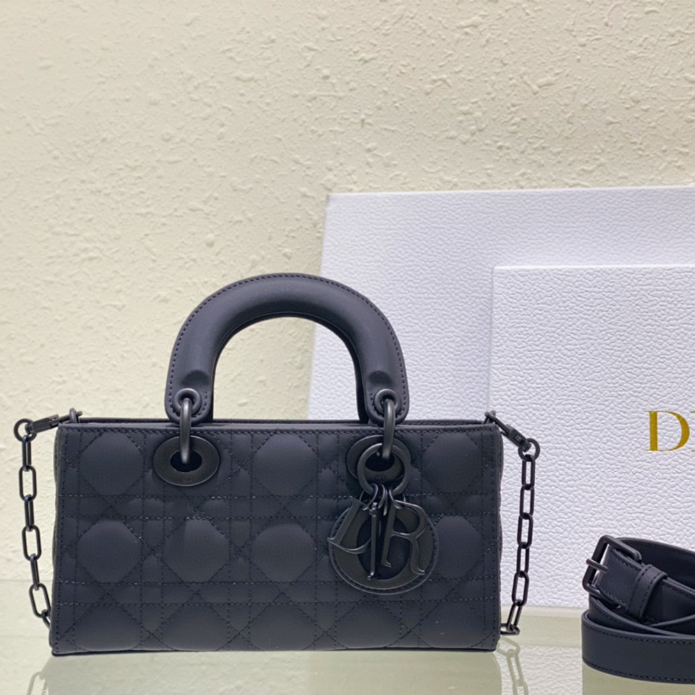 Dior Small & Medium Lady D-Joy Matte