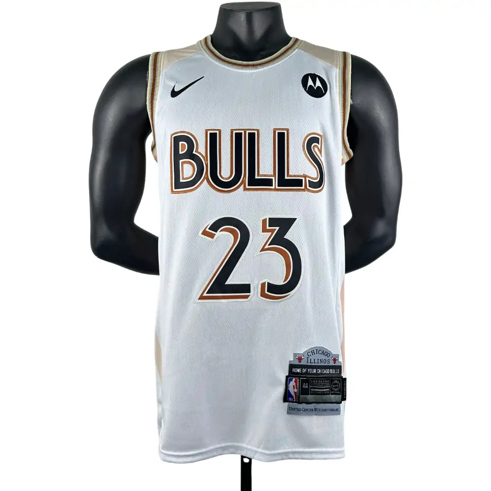 Embroidered 25th Season Bulls City Edition No. 23 Jordan