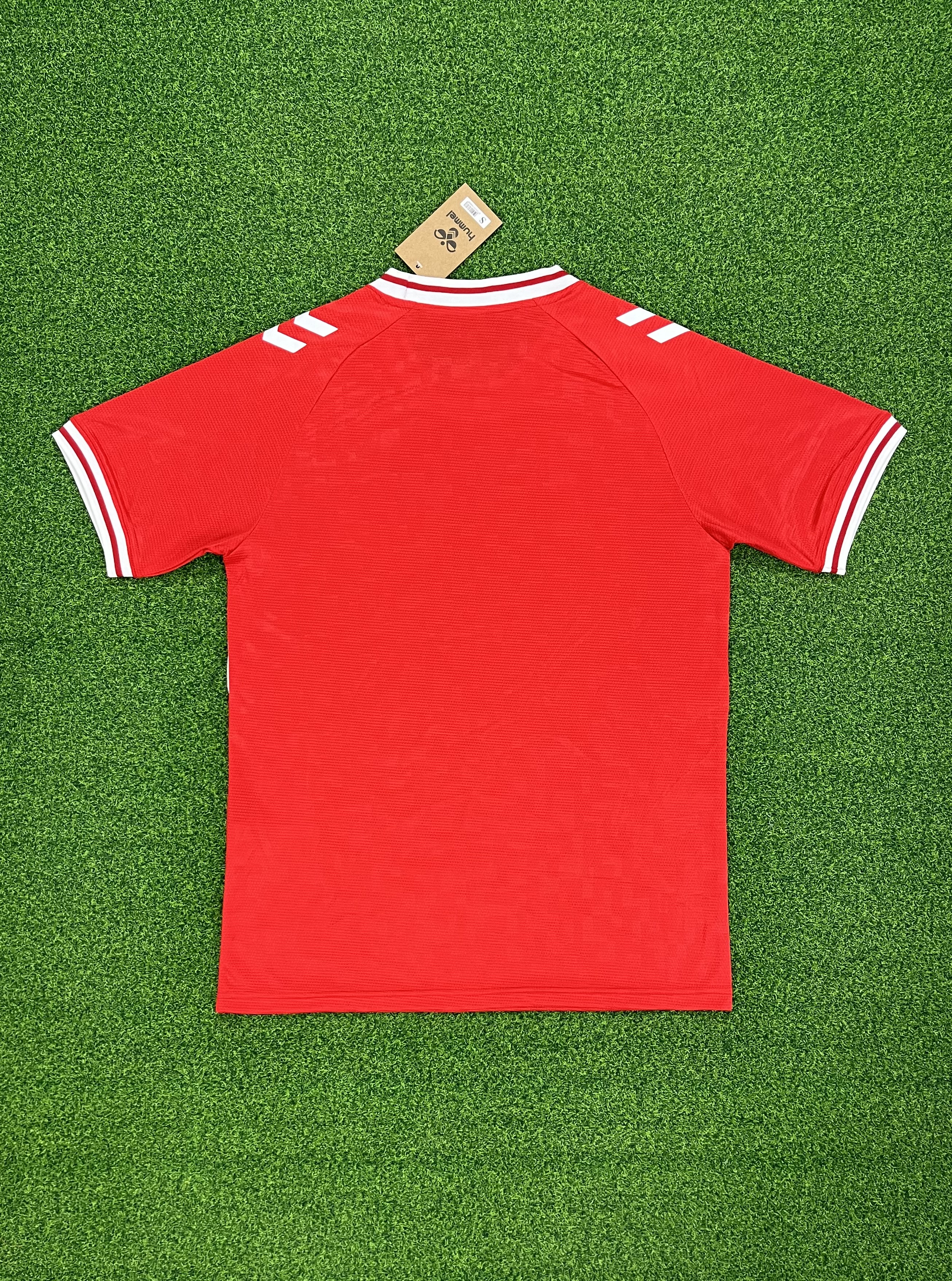 2425 Denmark home   jersey...Player embroidery version