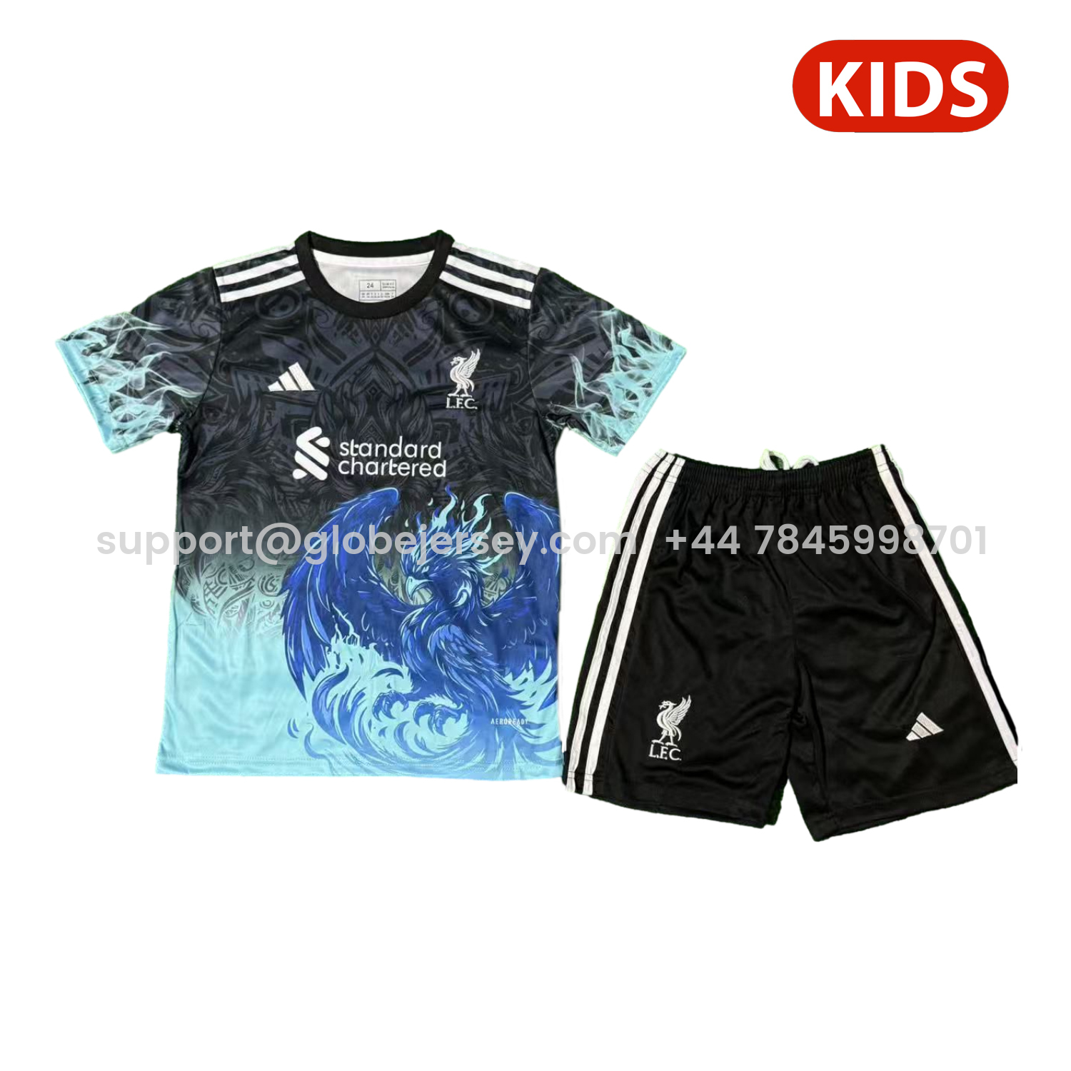 Liver.pool 25-26 Blue Liver.pool Bird Black Special Kids Kit