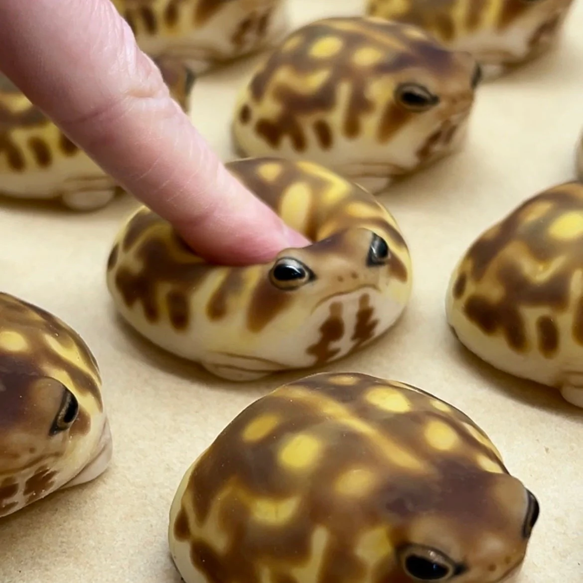 Silicone Squeeze Frog🐸