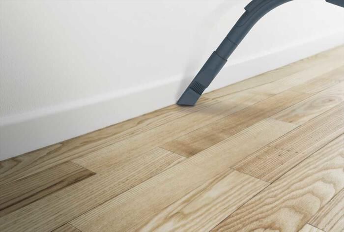 HOOVER - Aspirapolvere a traino BR31PET-Nero