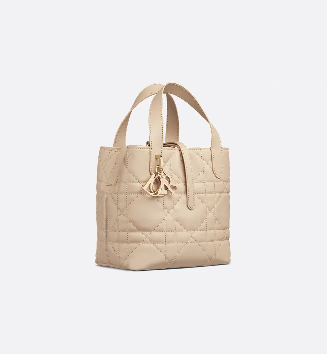 Small Toujours Vertical Tote Bag