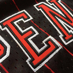 Chicago Bulls Pippen 33 Black MN