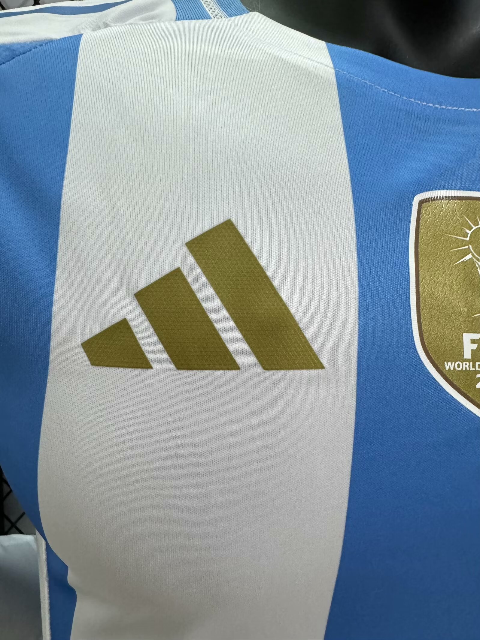 2024/25 Argentina Home Long Sleeve Shirt - Player Version