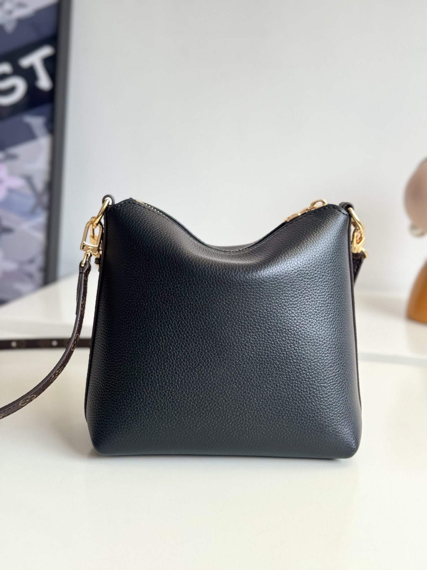 [10A] LV Multipass Monogram Bag