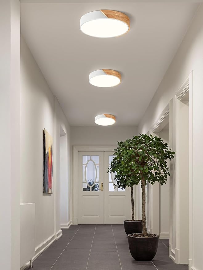 Modern Dimmable LED Ceiling Light