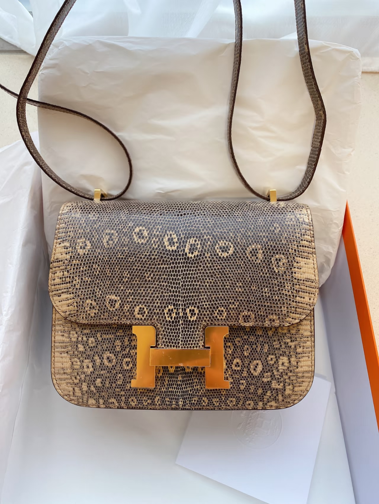 Hermès Constance 24 Lizard Leather Custom