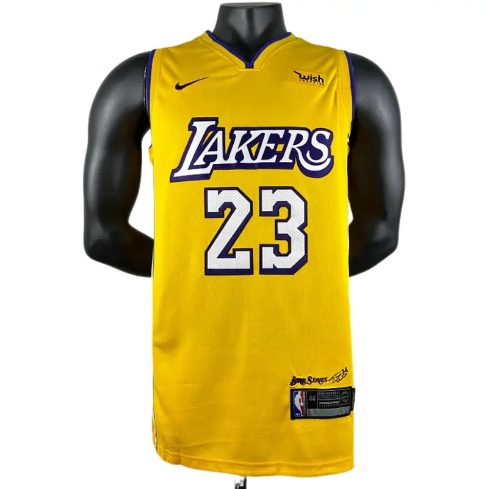 Embroidered Lakers with stars No. 23 James