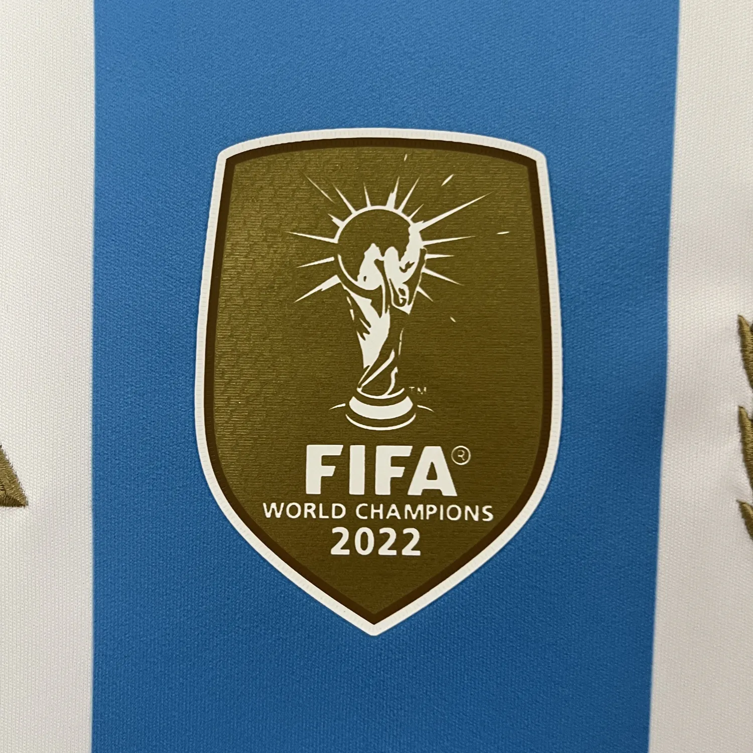 2024/25 Argentina Home Jersey - Fans Edition