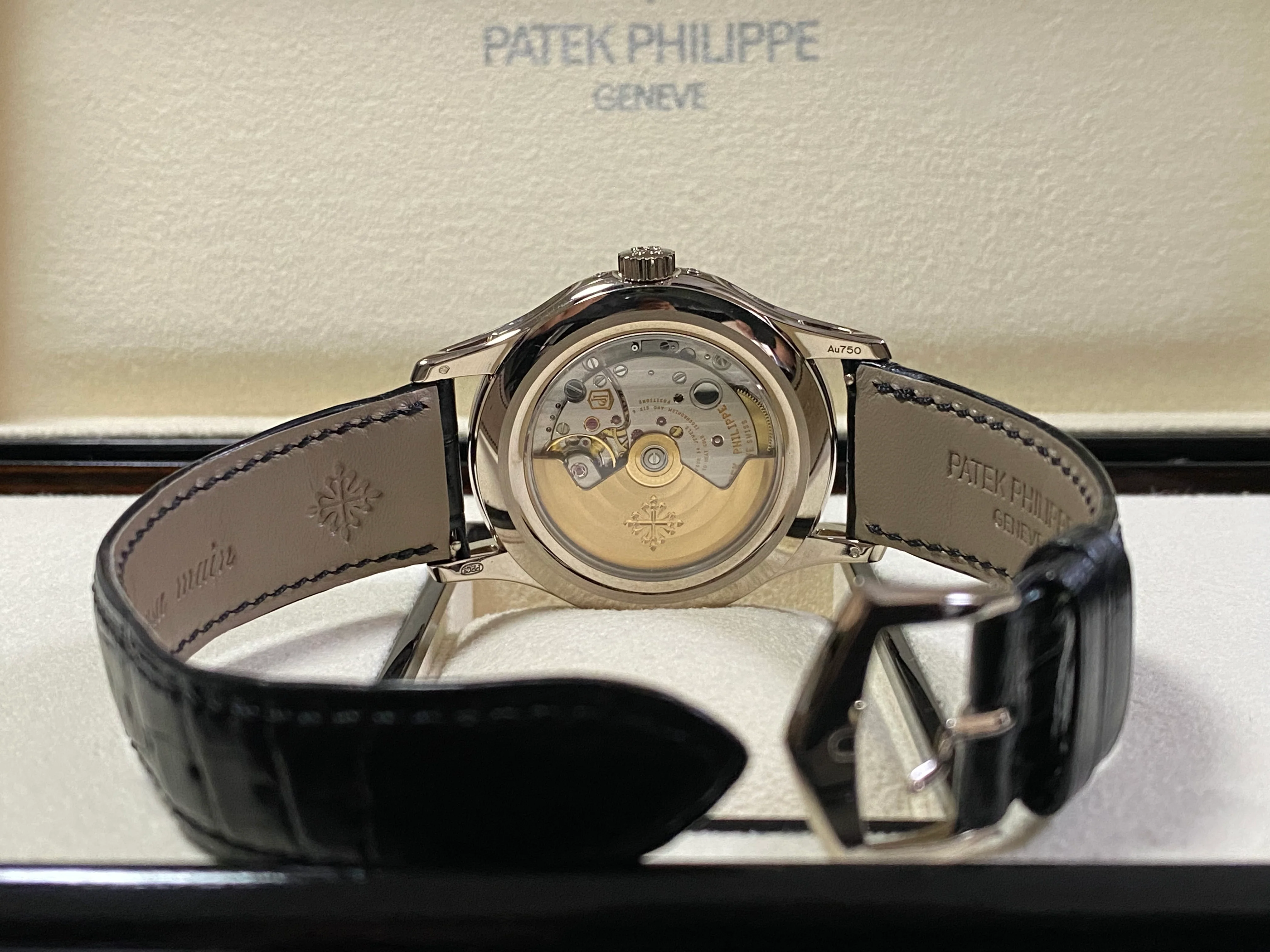 Patek Philippe Complications Annual Calendar 