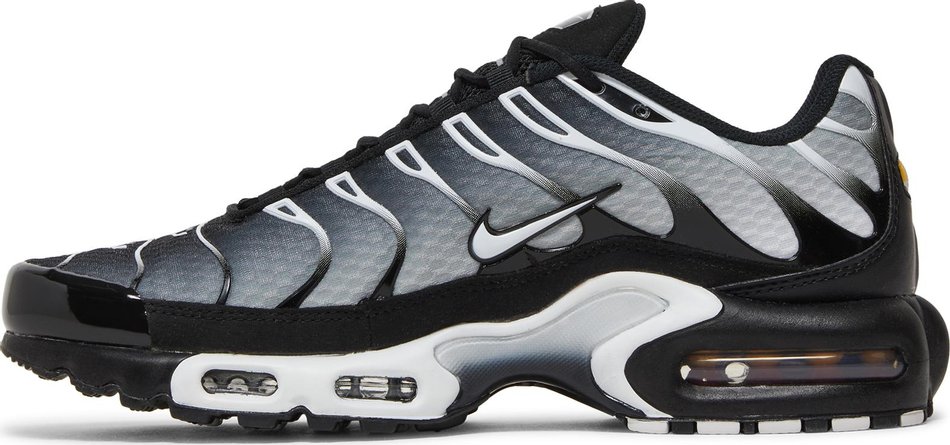 Nike Air Max Plus Black Silver White
