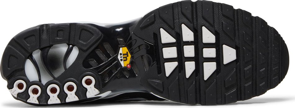 Nike Air Max Plus Black Silver White