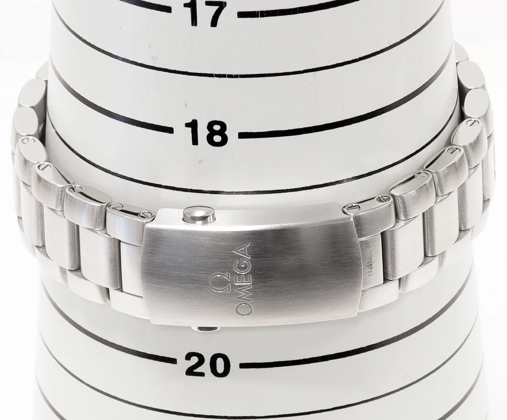 Omega Seamaster 600m Planet Ocean Men's Watch