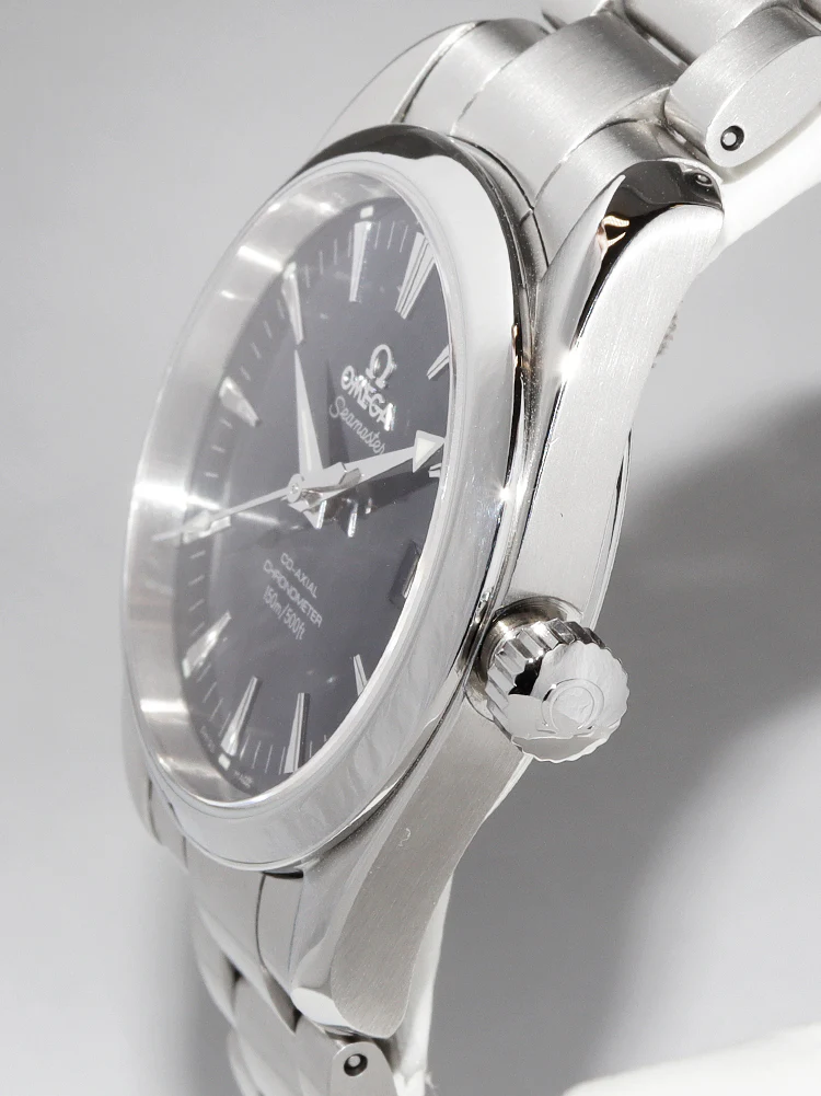 Omega Seamaster Aqua Terra 150m 2504.80 Watch