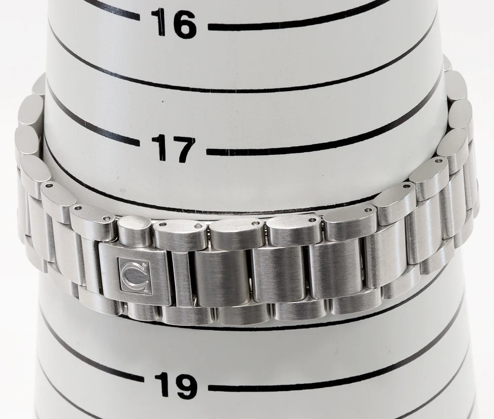 Omega Seamaster Aqua Terra 150m 2504.80 Watch