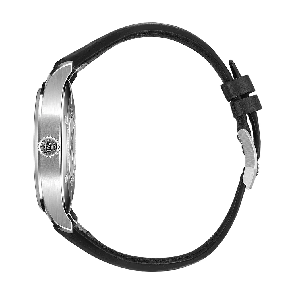 Pilot��s Watch Mark XX IW328207