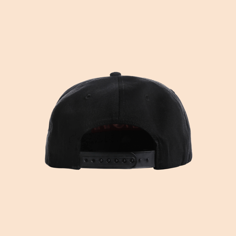 35_55 Travis Scott Cap