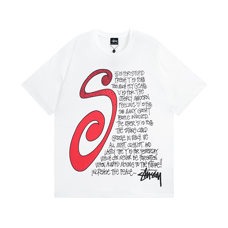 74_Stussy T-shirt