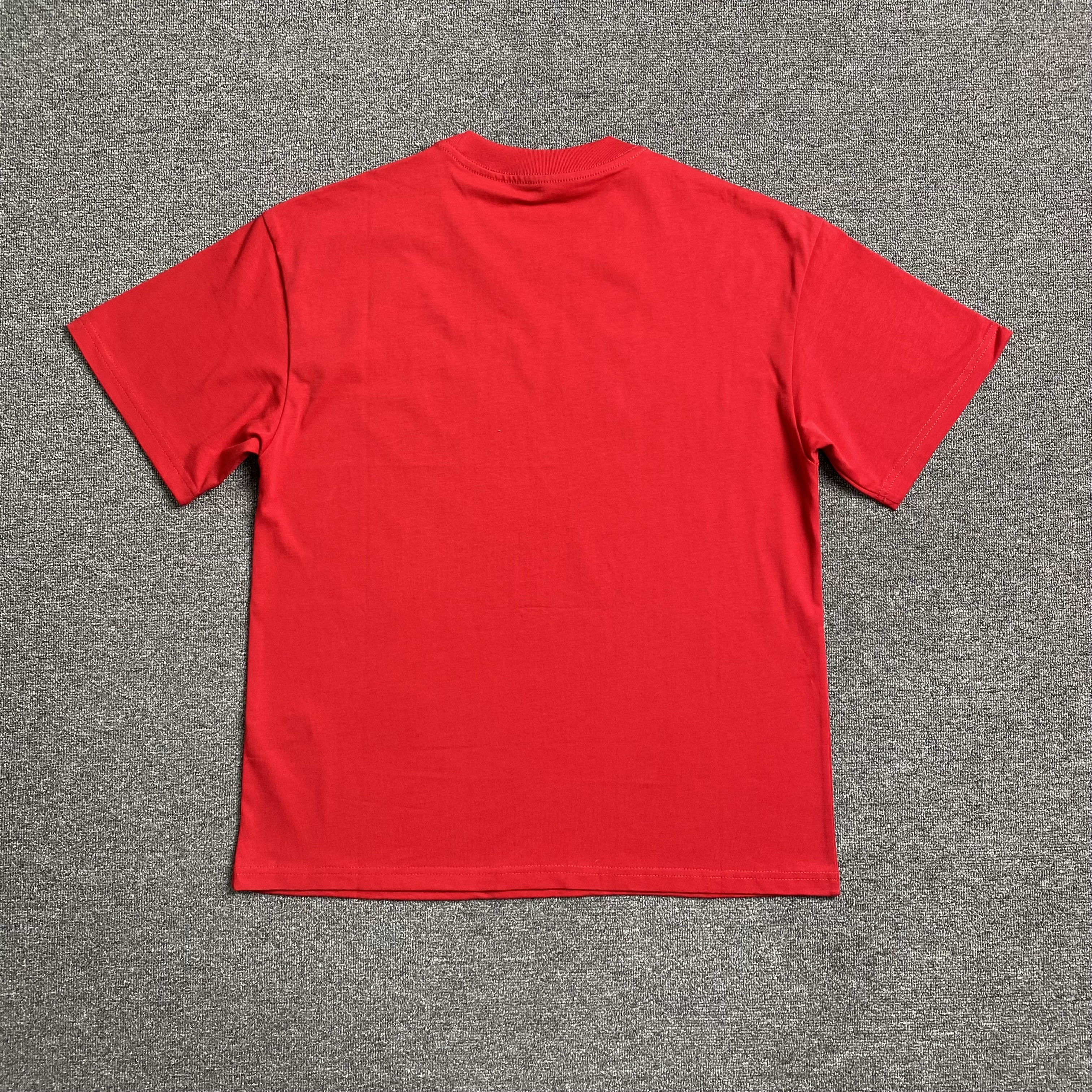 30_107 Spider T-shirt