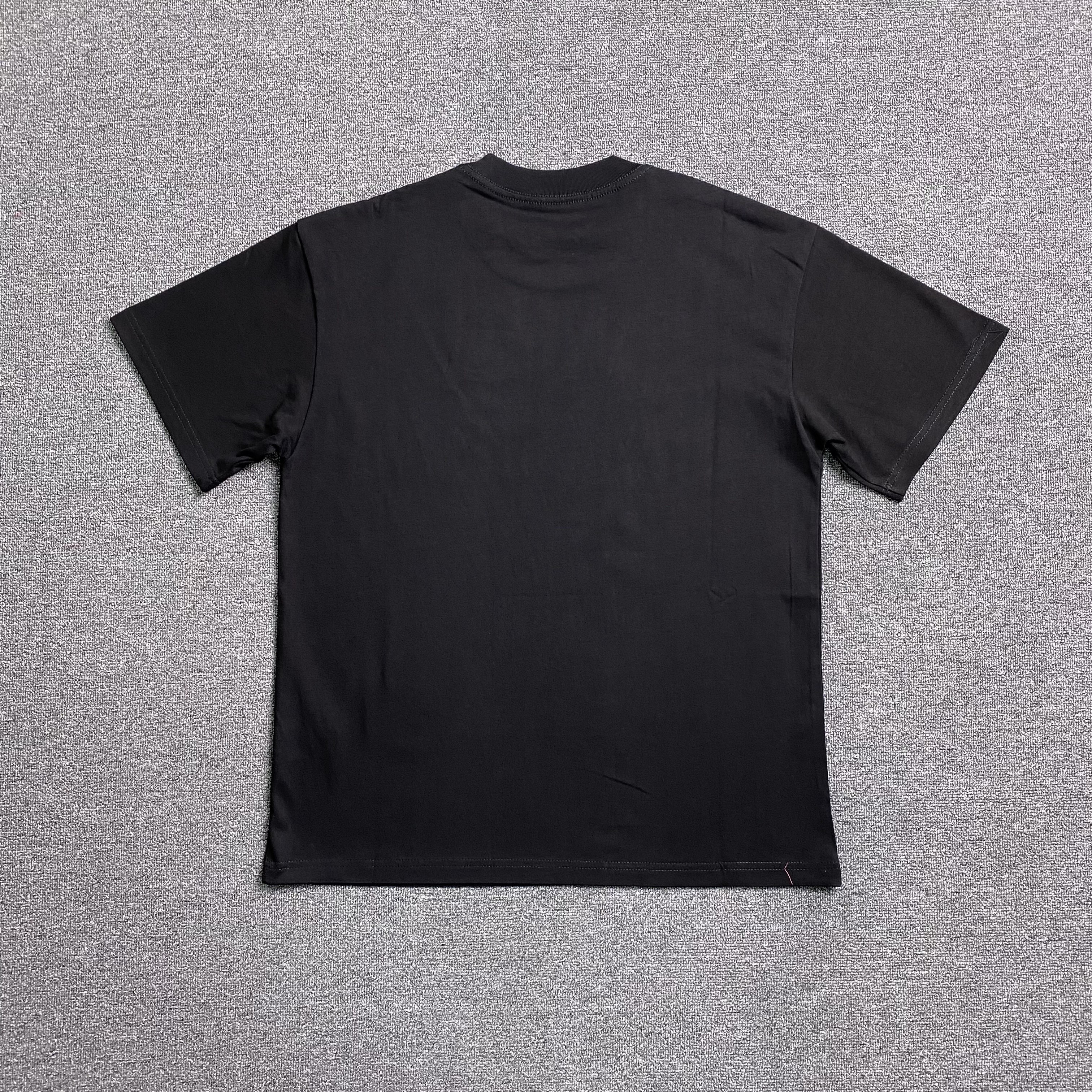 25_107 Spider T-shirt
